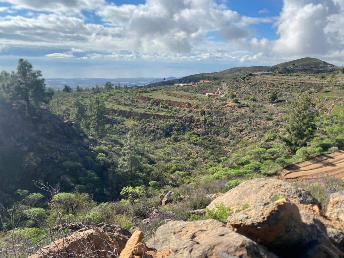 Terreno Non Edificato in vendita in Charco del Pino - 160.000 € (Rif: 9536784)