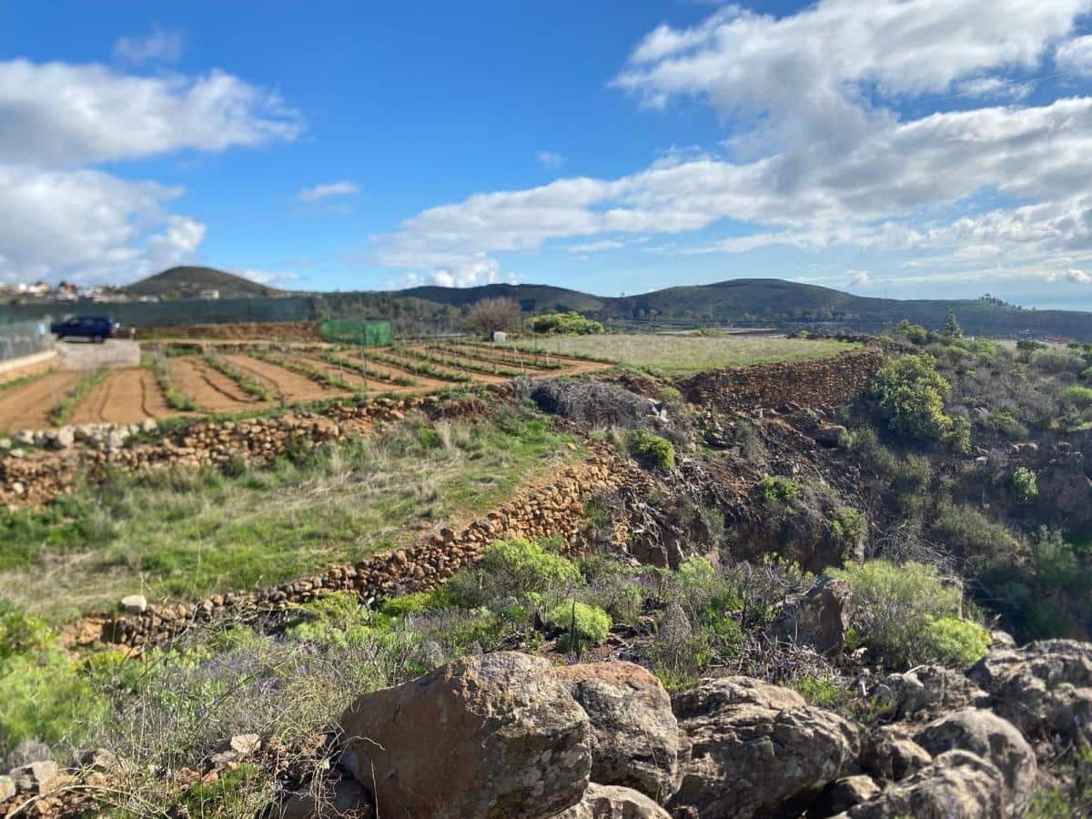 Terreno Non Edificato in vendita in Charco del Pino - 160.000 € (Rif: 9536784)