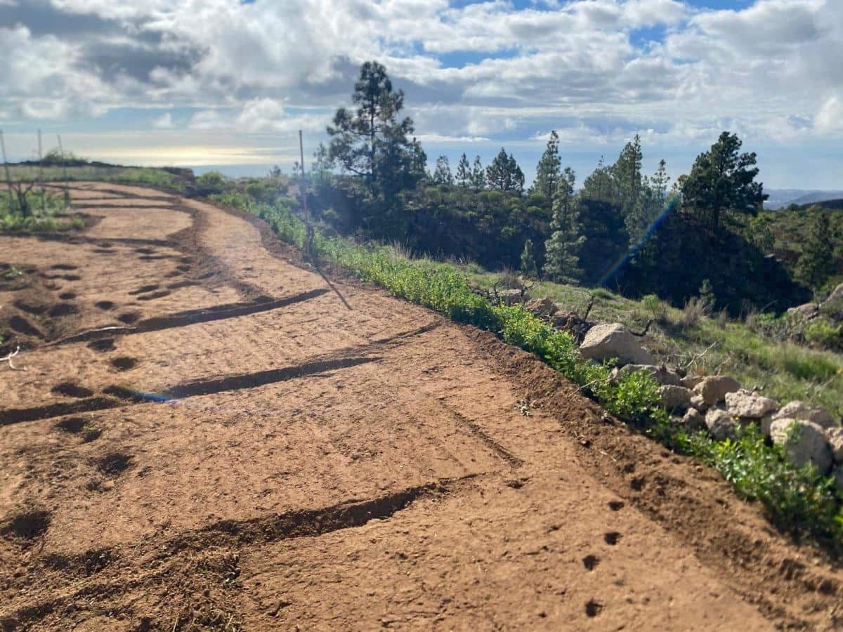 Terreno Non Edificato in vendita in Charco del Pino - 160.000 € (Rif: 9536784)