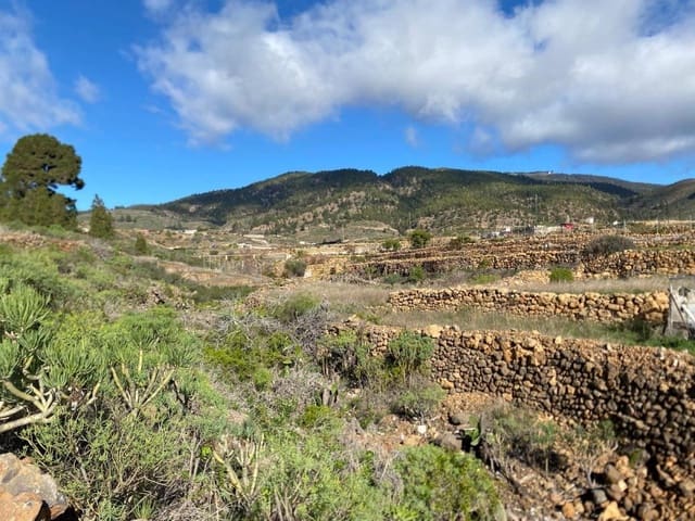 Terreno Non Edificato in vendita in Charco del Pino, Granadilla de Abona - 160.000 € (Rif: 9536784)
