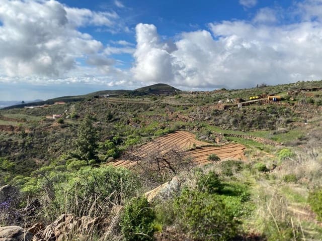 Terreno Non Edificato in vendita in Charco del Pino, Granadilla de Abona - 160.000 € (Rif: 9536784)