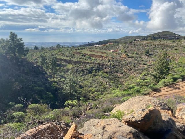 Terreno Non Edificato in vendita in Charco del Pino, Granadilla de Abona - 160.000 € (Rif: 9536784)