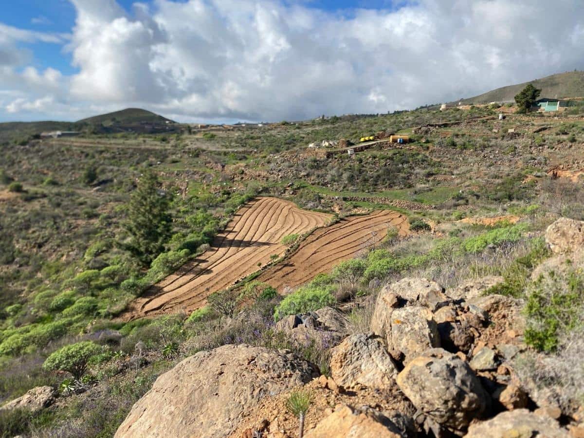 Terreno Non Edificato in vendita in Charco del Pino - 160.000 € (Rif: 9536784)