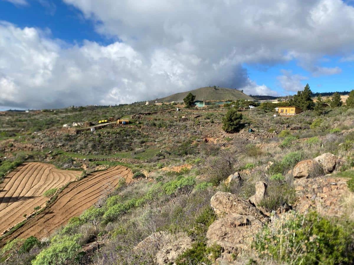 Terreno Non Edificato in vendita in Charco del Pino - 160.000 € (Rif: 9536784)