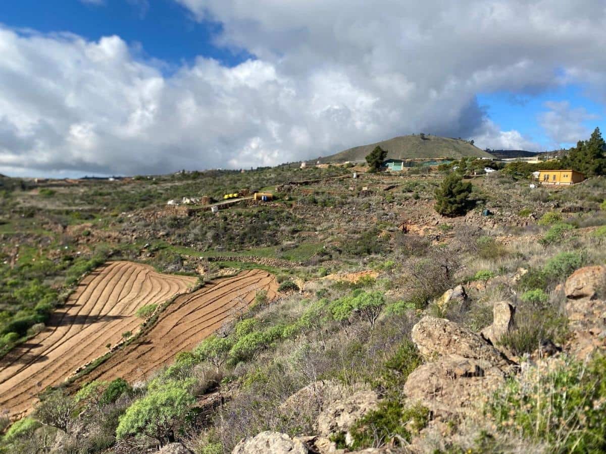 Terreno Non Edificato in vendita in Charco del Pino - 160.000 € (Rif: 9536784)