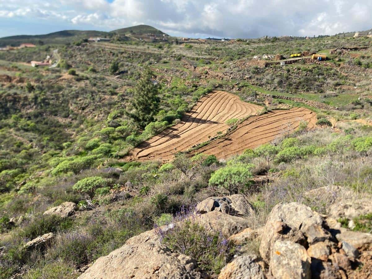 Terreno Non Edificato in vendita in Charco del Pino - 160.000 € (Rif: 9536784)