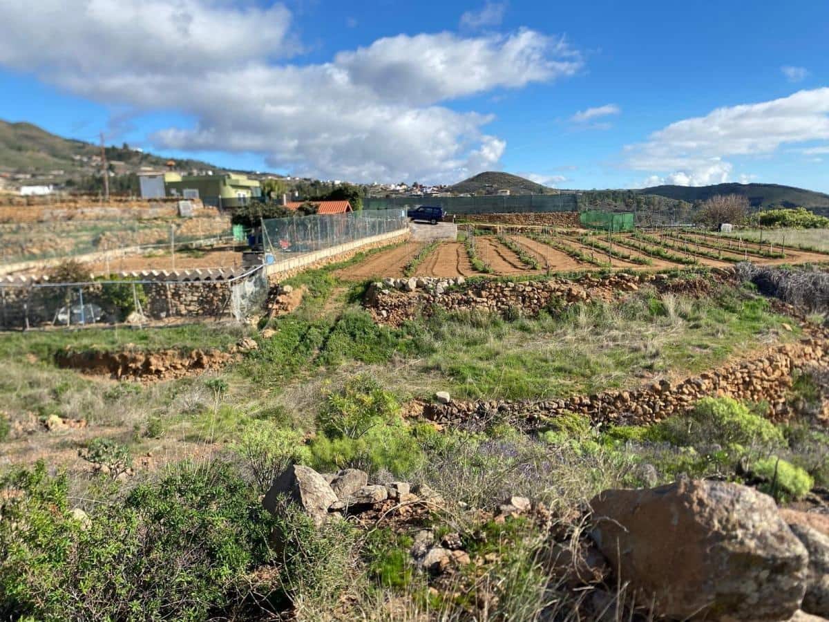 Terreno Non Edificato in vendita in Charco del Pino - 160.000 € (Rif: 9536784)