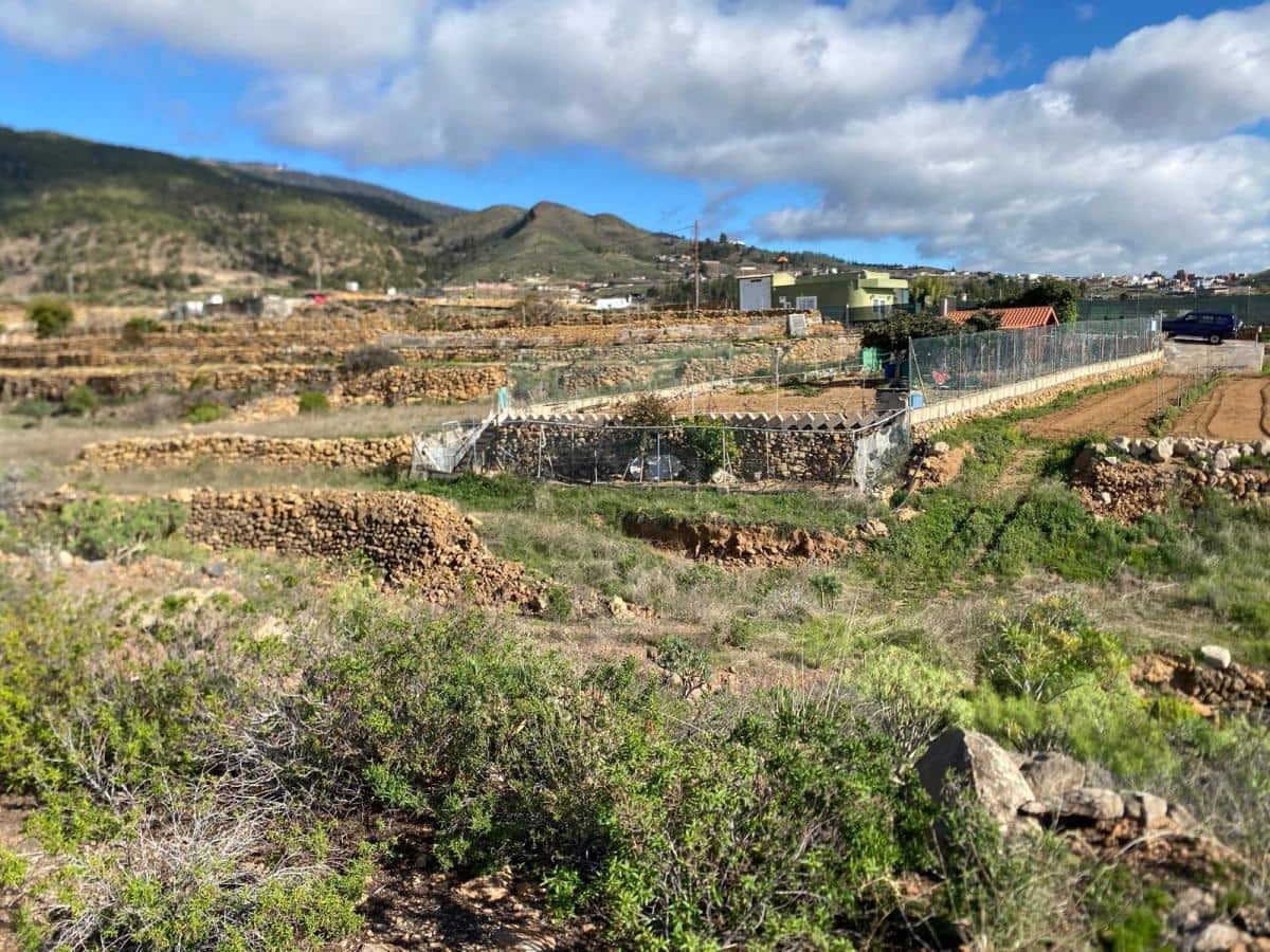 Terreno Non Edificato in vendita in Charco del Pino - 160.000 € (Rif: 9536784)