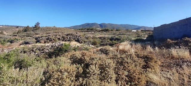 Ubebygd land til salgs i Charco del Pino, Granadilla de Abona - € 68 000 (Ref: 9629940)