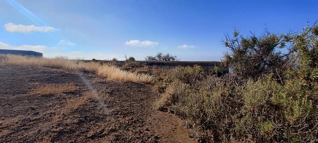 Ubebygd land til salgs i Charco del Pino, Granadilla de Abona - € 68 000 (Ref: 9629940)