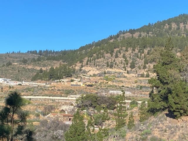 Rakentamaton maa myytävänä paikassa Cruz de Tea, Granadilla de Abona - 35 000 € (Ref: 9629941)