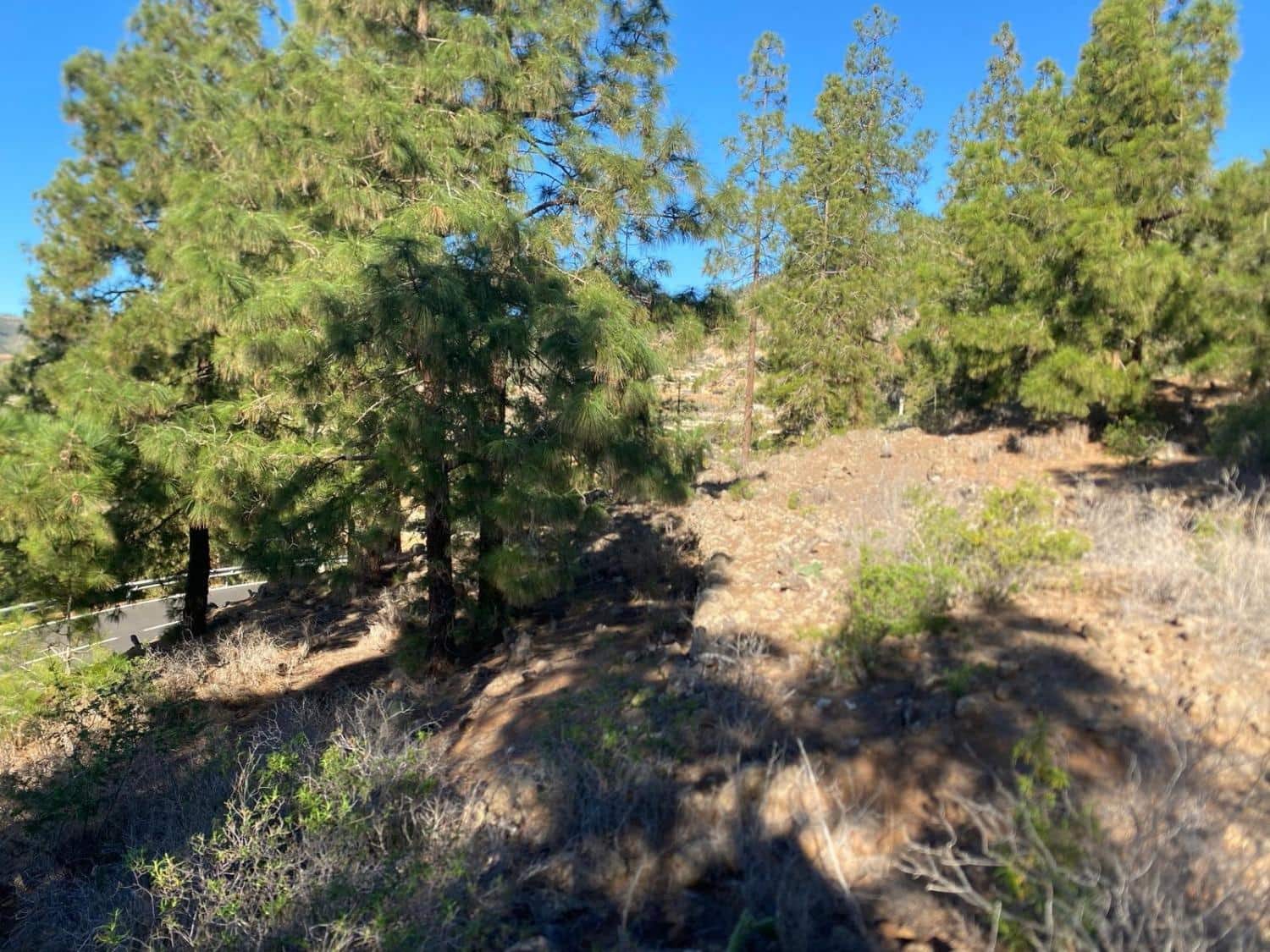 Rakentamaton maa myytävänä paikassa Cruz de Tea - 35 000 € (Ref: 9629941)