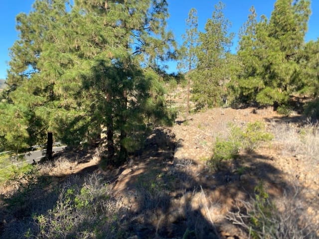 Rakentamaton maa myytävänä paikassa Cruz de Tea, Granadilla de Abona - 35 000 € (Ref: 9629941)