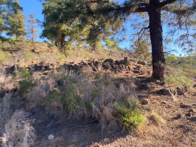 Rakentamaton maa myytävänä paikassa Cruz de Tea, Granadilla de Abona - 35 000 € (Ref: 9629941)