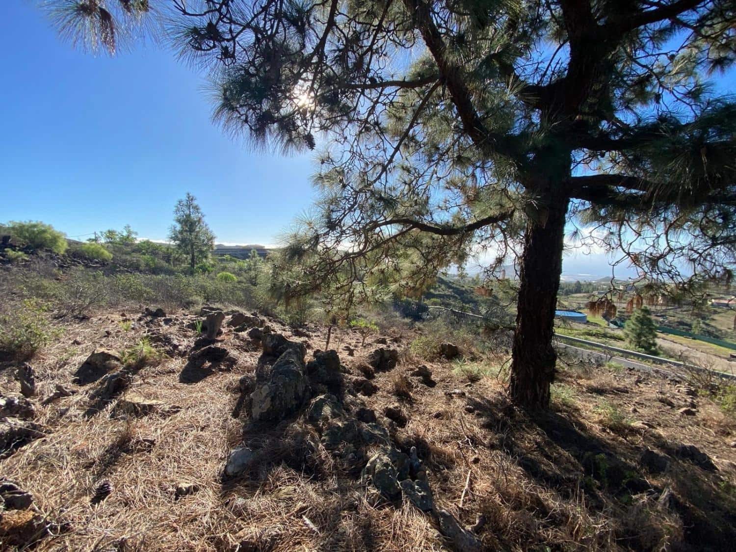 Rakentamaton maa myytävänä paikassa Cruz de Tea - 35 000 € (Ref: 9629941)