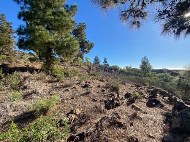 Rakentamaton maa myytävänä paikassa Cruz de Tea, Granadilla de Abona - 35 000 € (Ref: 9629941)