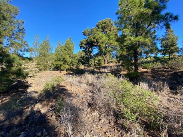 Rakentamaton maa myytävänä paikassa Cruz de Tea, Granadilla de Abona - 35 000 € (Ref: 9629941)