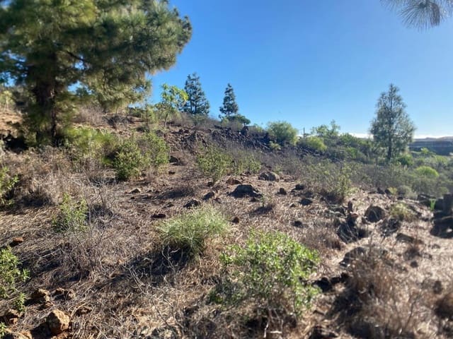 Rakentamaton maa myytävänä paikassa Cruz de Tea, Granadilla de Abona - 35 000 € (Ref: 9629941)