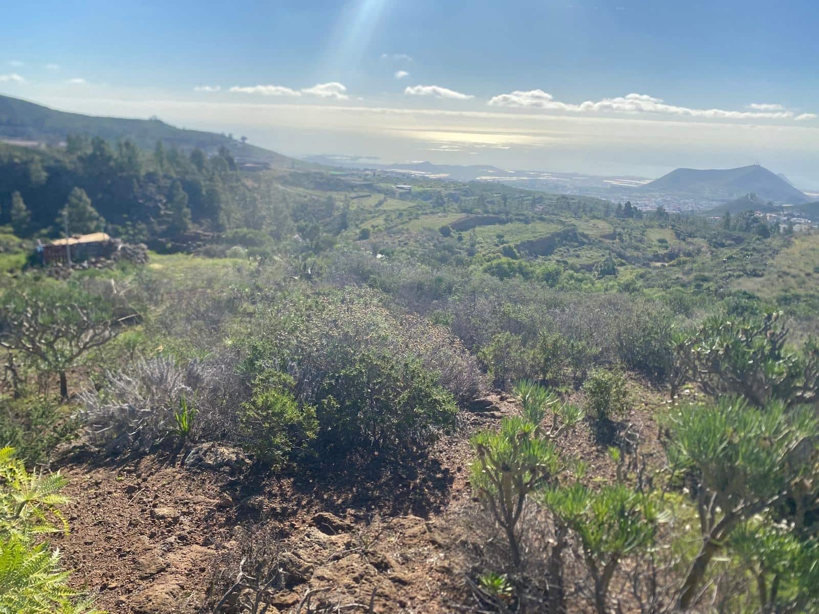 Ubebygd land til salgs i Charco del Pino - € 70 000 (Ref: 9648081)