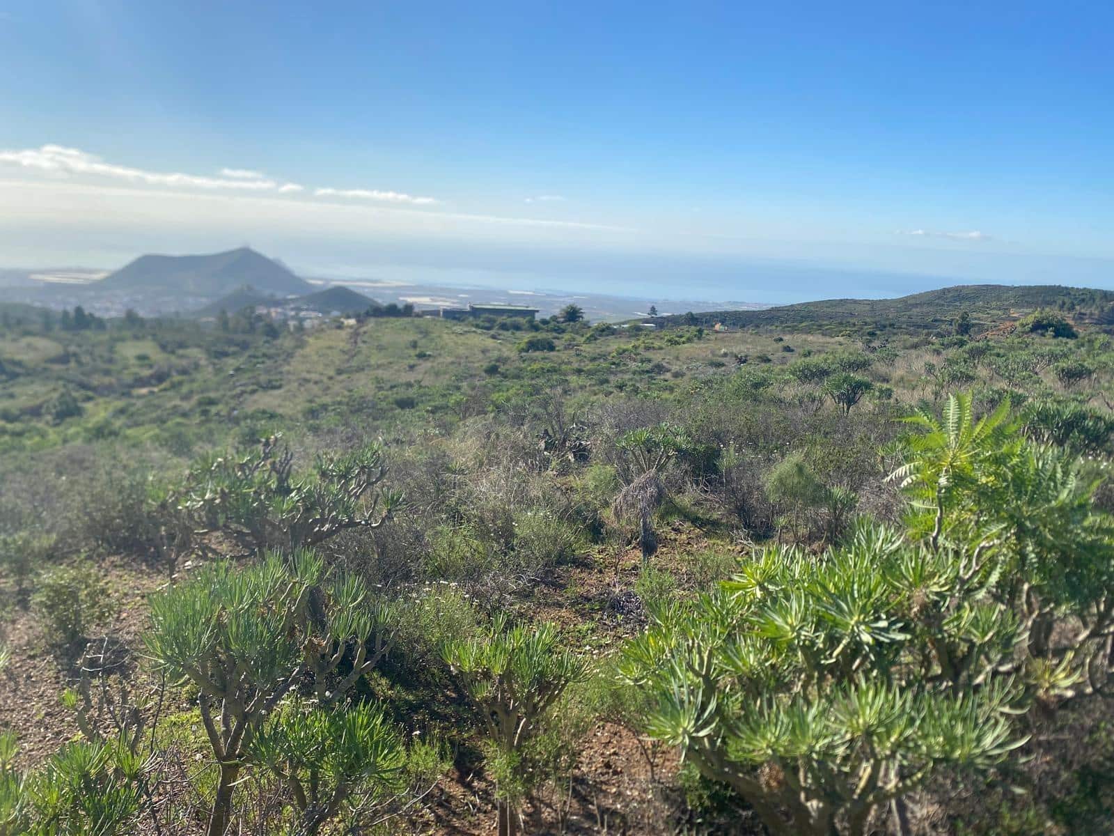 Ubebygd land til salgs i Charco del Pino - € 70 000 (Ref: 9648081)