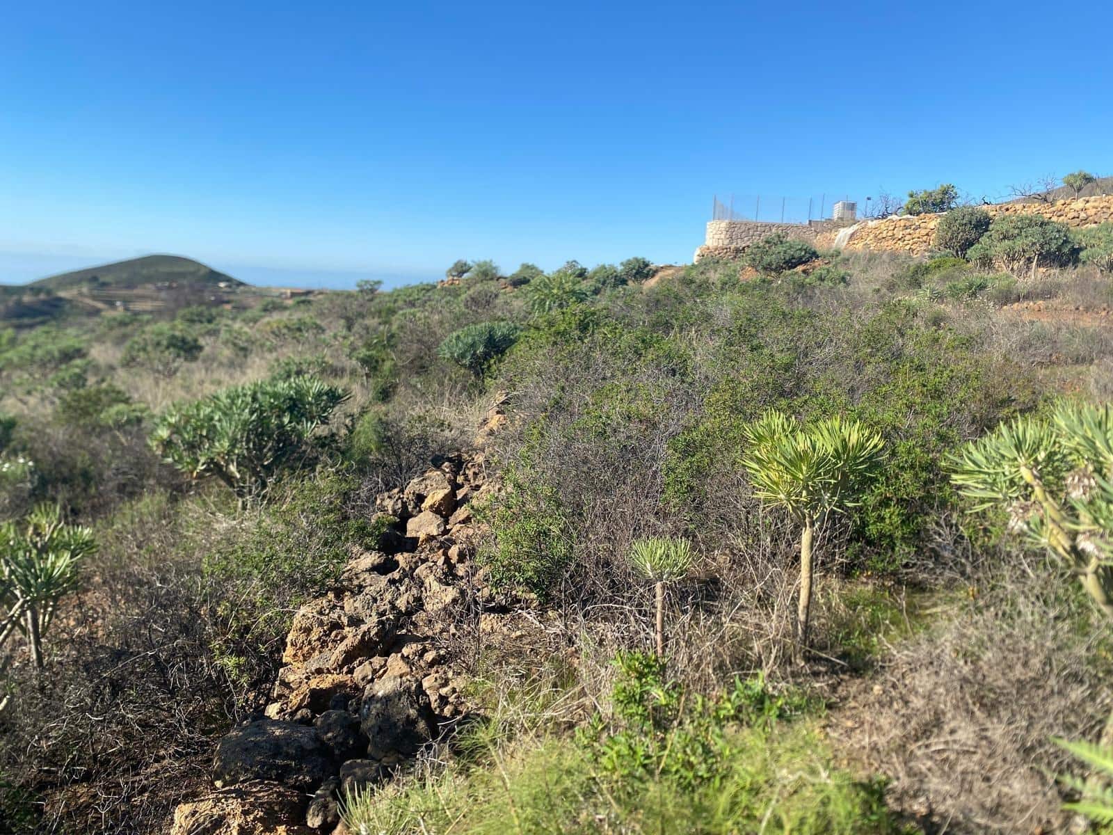 Ubebygd land til salgs i Charco del Pino - € 70 000 (Ref: 9648081)