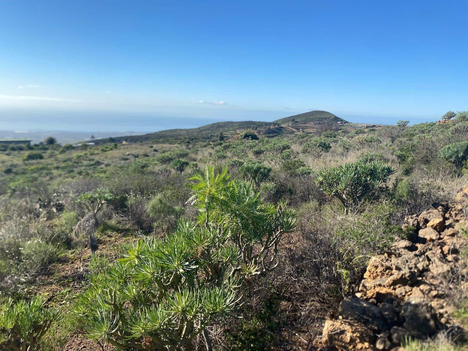 Ubebygd land til salgs i Charco del Pino - € 70 000 (Ref: 9648081)