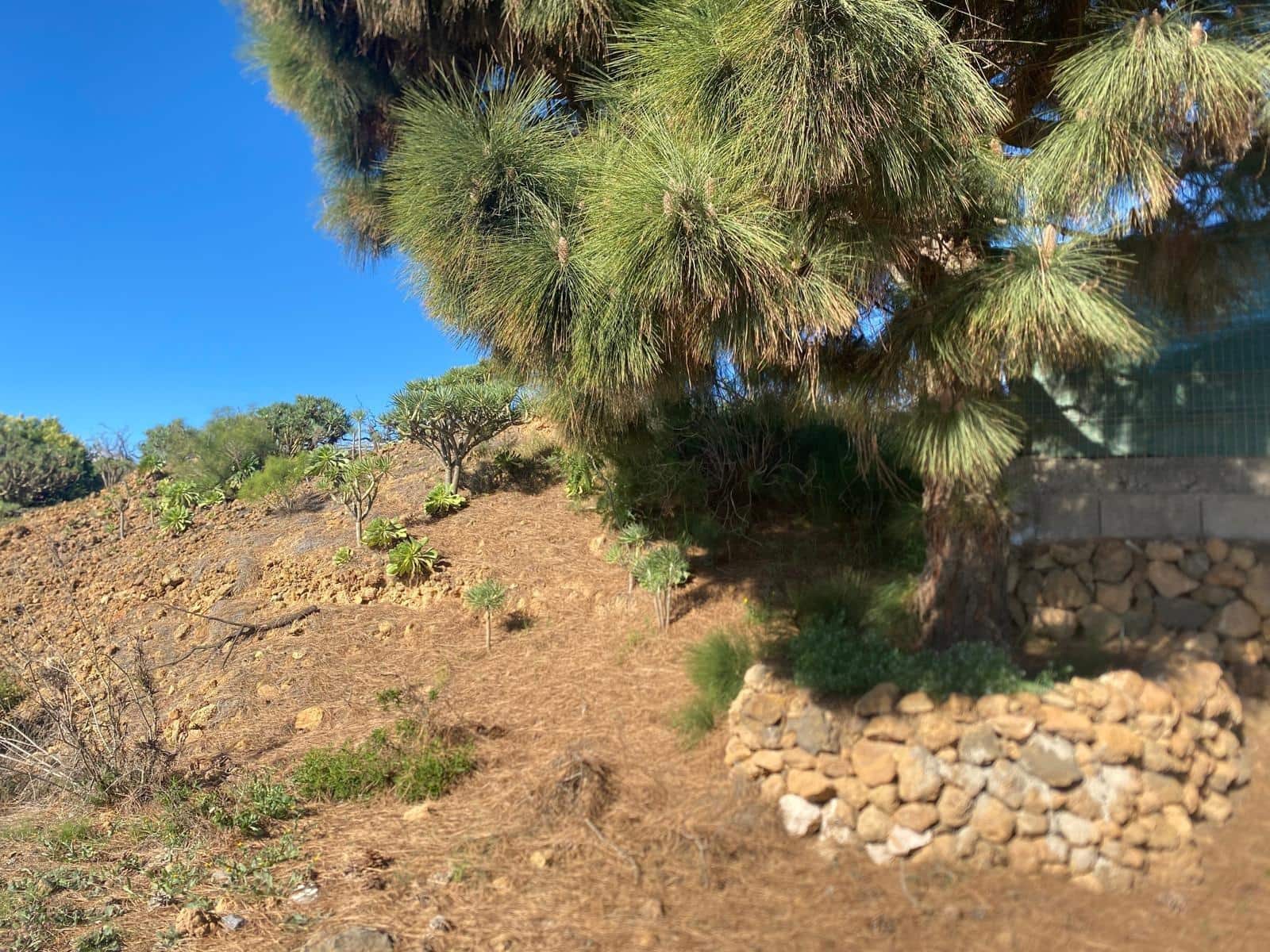 Ubebygd land til salgs i Charco del Pino - € 70 000 (Ref: 9648081)