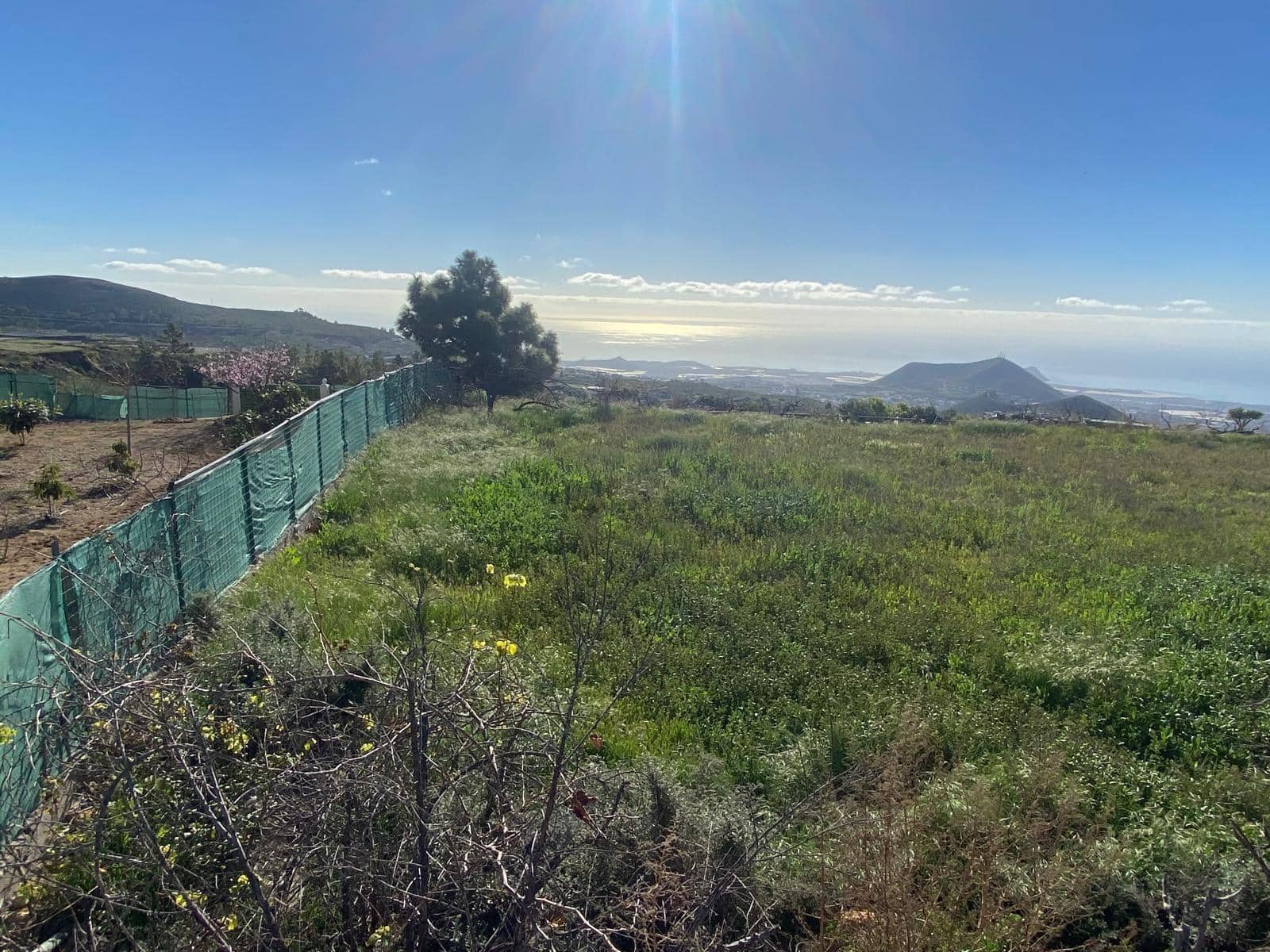 Ubebygd land til salgs i Charco del Pino - € 70 000 (Ref: 9648081)