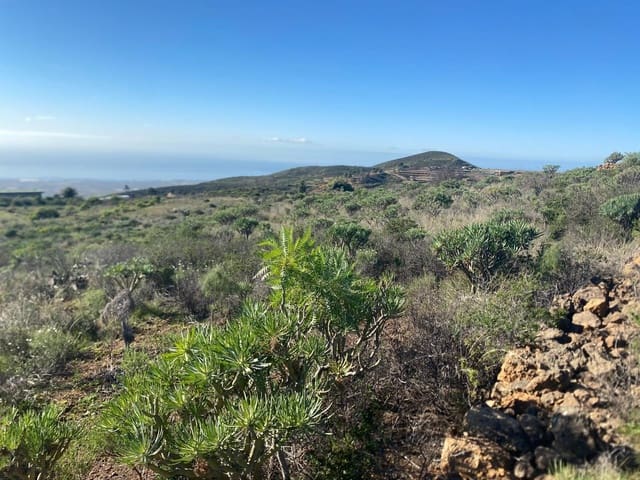 Ubebygd land til salgs i Charco del Pino, Granadilla de Abona - € 70 000 (Ref: 9648081)