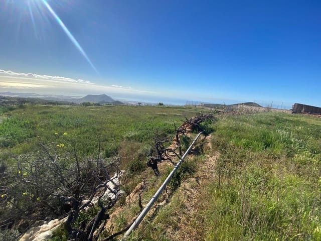 Ubebygd land til salgs i Charco del Pino, Granadilla de Abona - € 70 000 (Ref: 9648081)