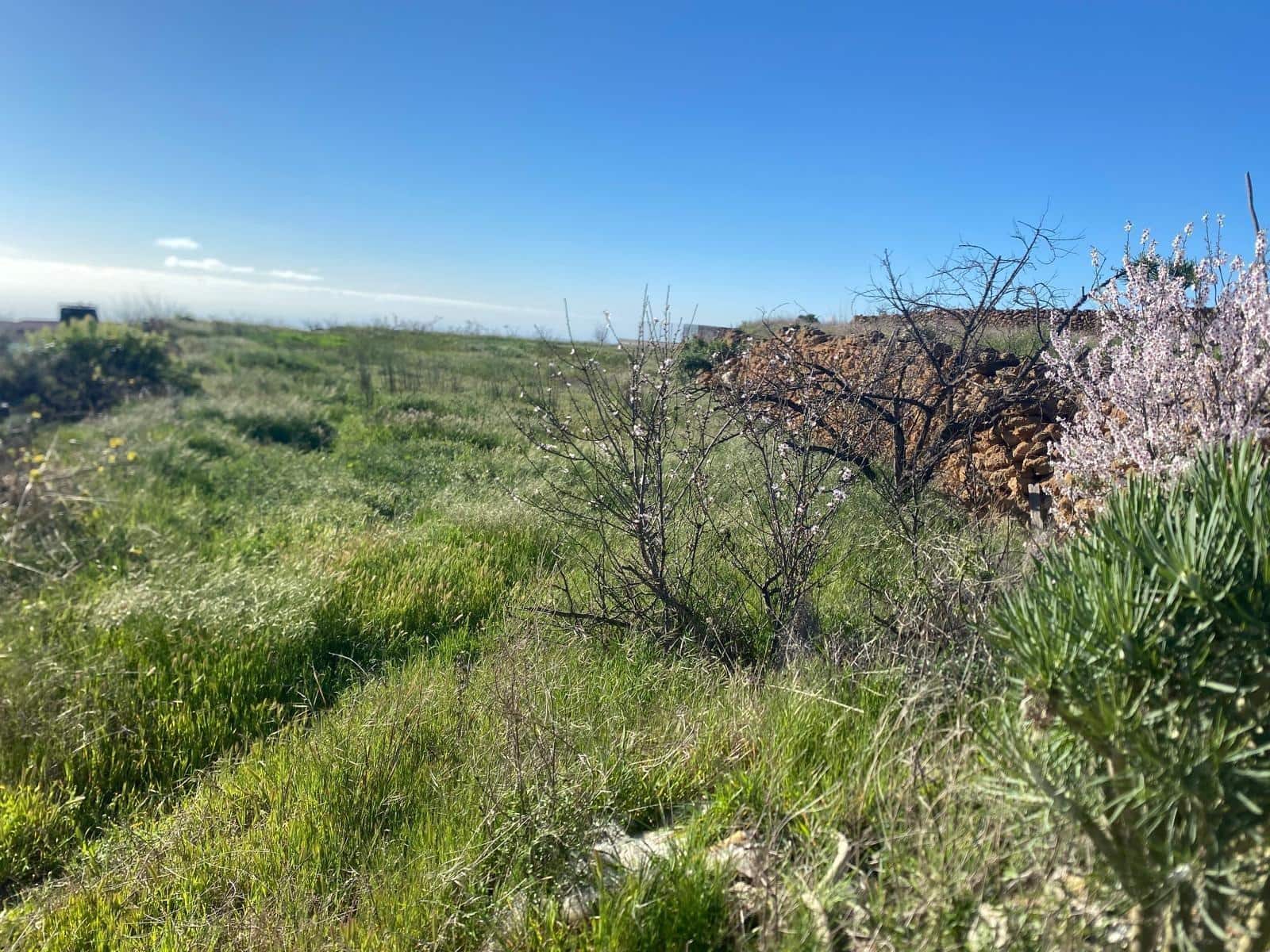 Ubebygd land til salgs i Charco del Pino - € 70 000 (Ref: 9648081)