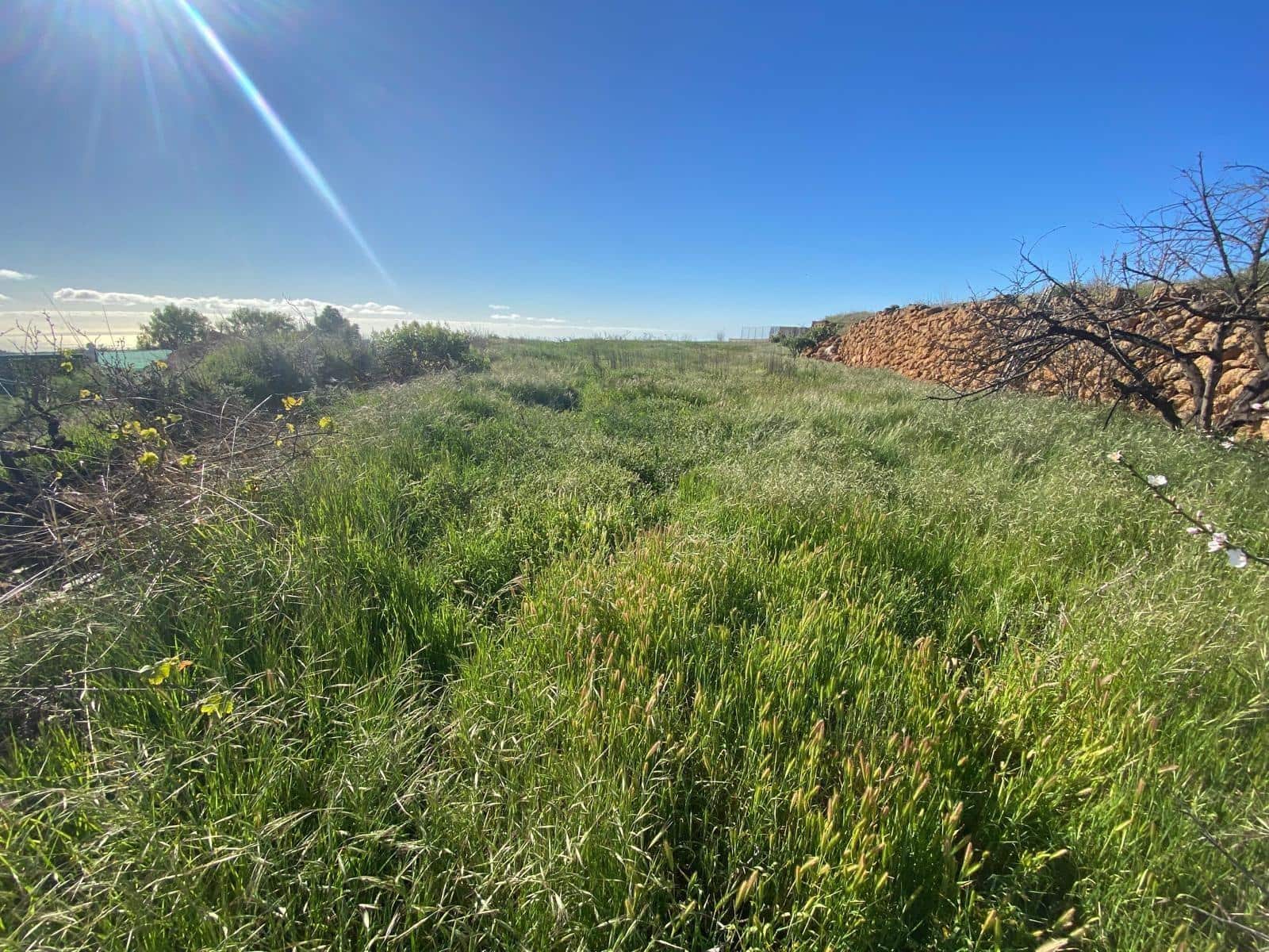 Ubebygd land til salgs i Charco del Pino - € 70 000 (Ref: 9648081)