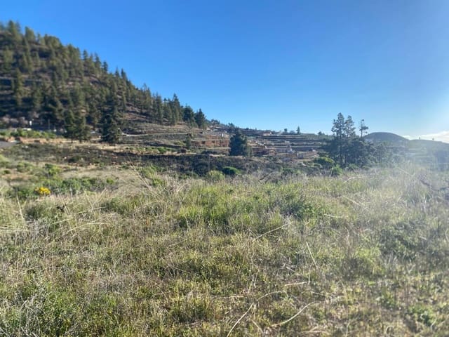 Landgrundstück zu verkaufen in Charco del Pino, Granadilla de Abona - 74.000 € (Ref: 9648082)