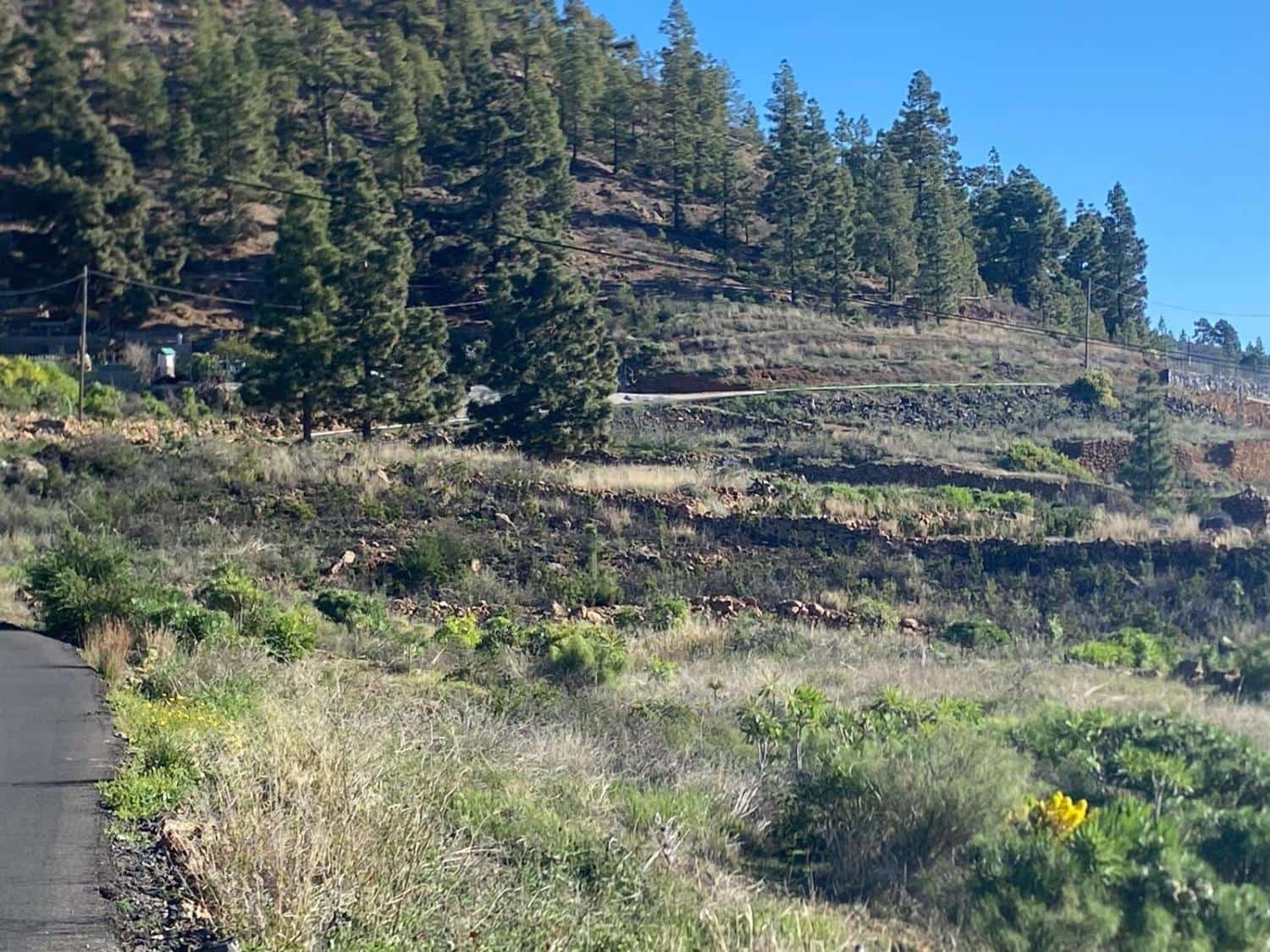 Ubebygd land til salgs i Charco del Pino - € 74 000 (Ref: 9648082)