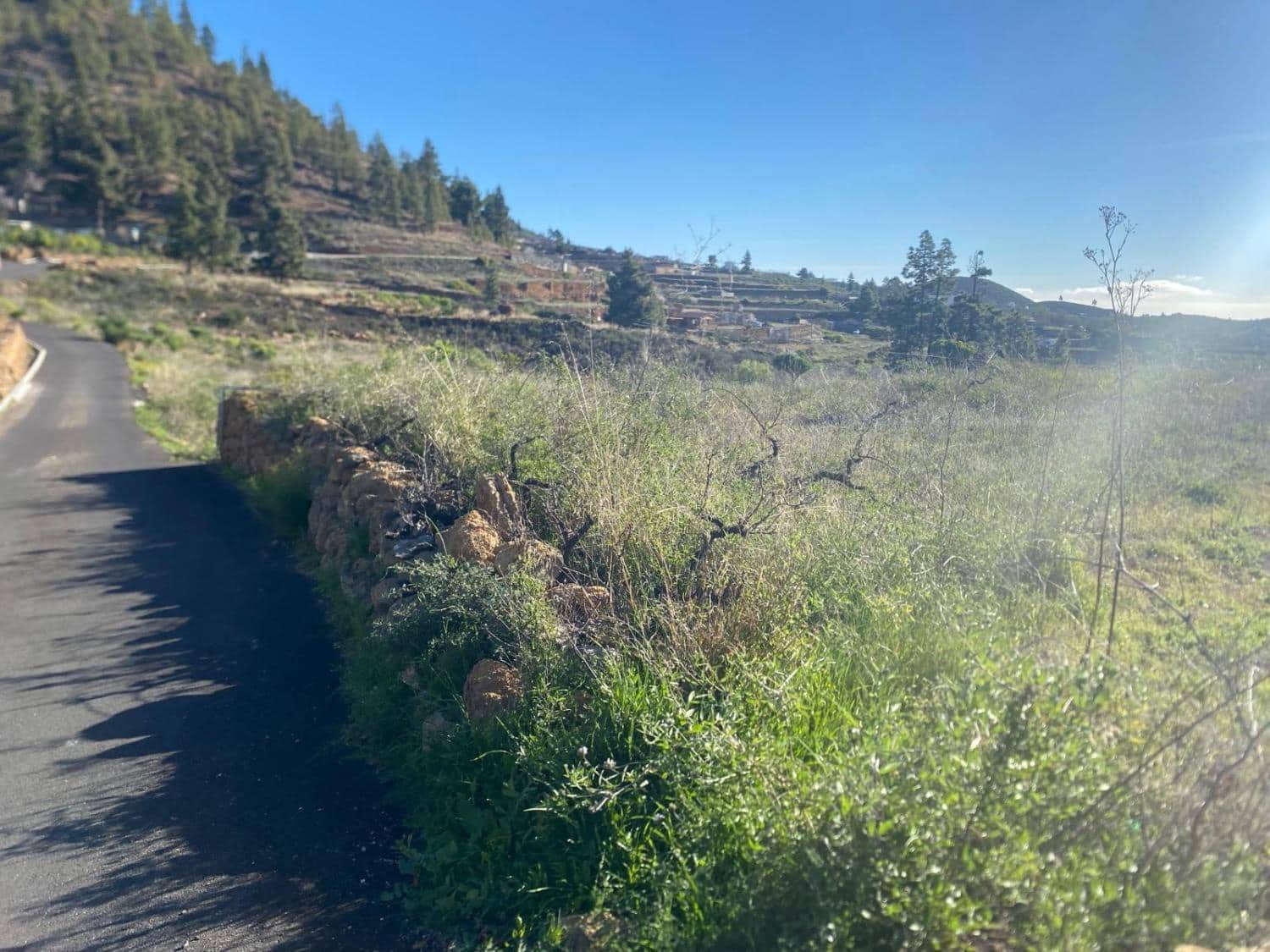 Ubebygd land til salgs i Charco del Pino - € 74 000 (Ref: 9648082)