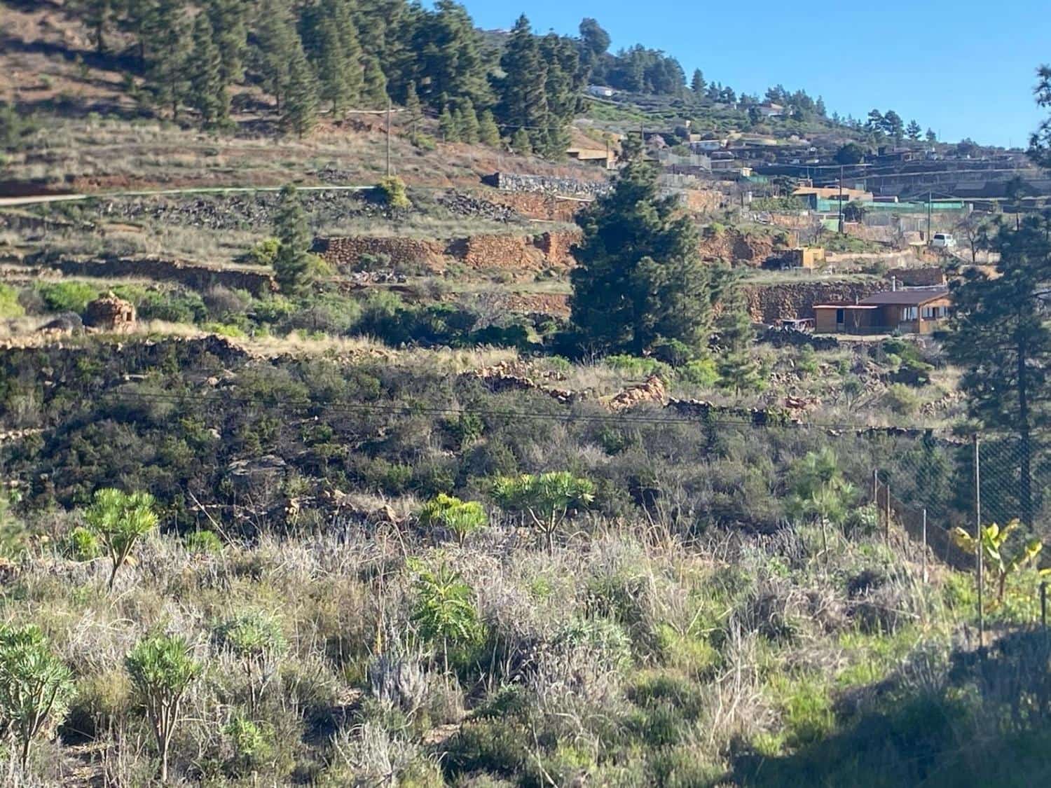 Ubebygd land til salgs i Charco del Pino - € 74 000 (Ref: 9648082)