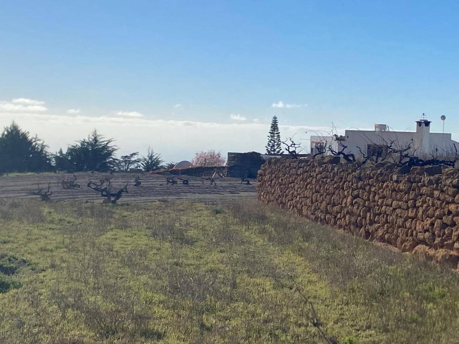 Ubebygd land til salgs i Charco del Pino - € 74 000 (Ref: 9648082)