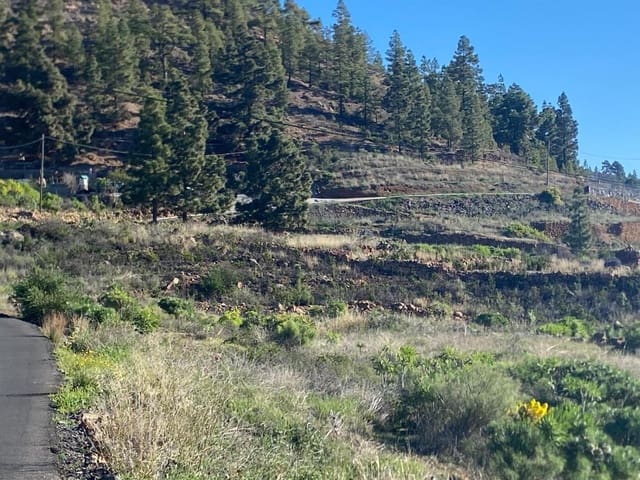 Landgrundstück zu verkaufen in Charco del Pino, Granadilla de Abona - 74.000 € (Ref: 9648082)
