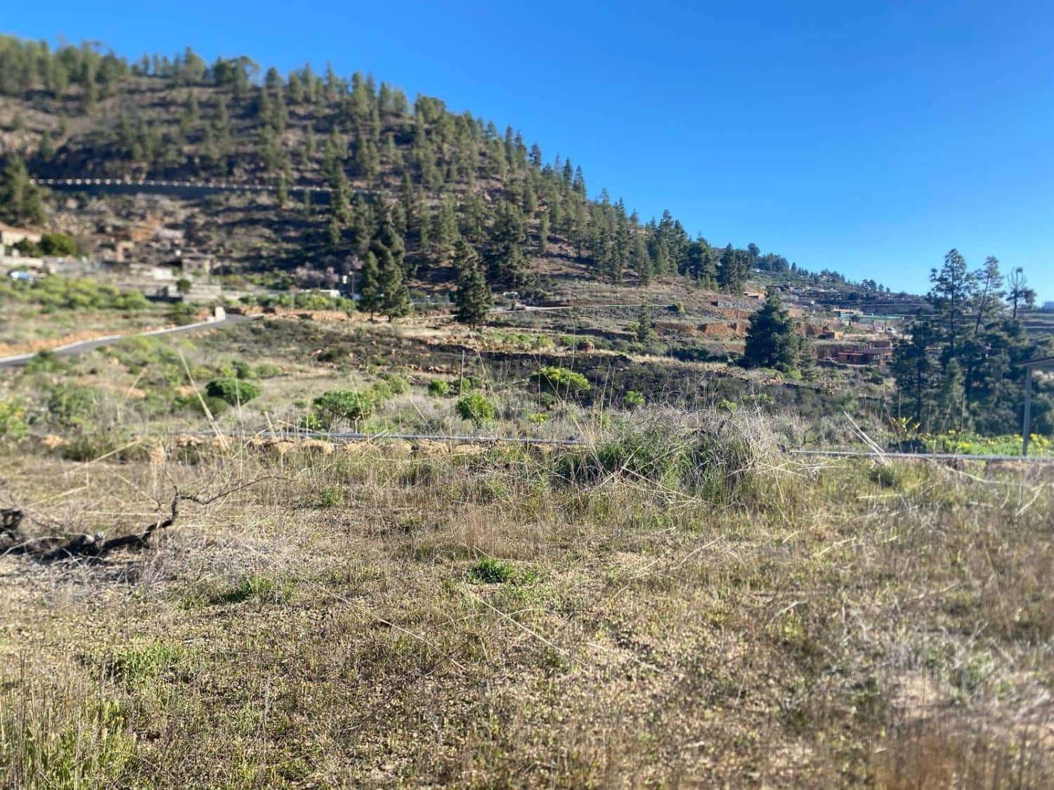 Ubebygd land til salgs i Charco del Pino - € 74 000 (Ref: 9648082)