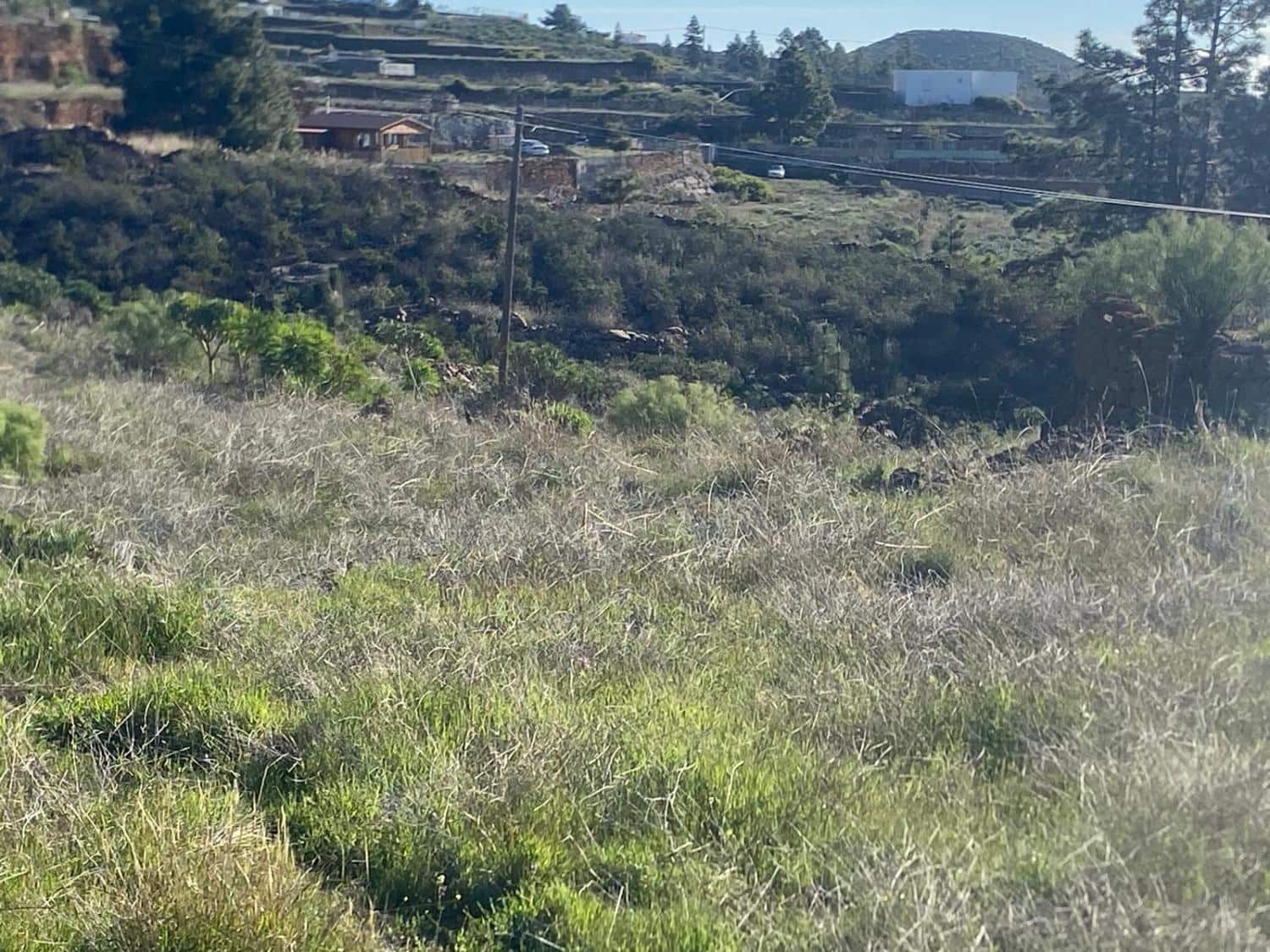 Ubebygd land til salgs i Charco del Pino - € 74 000 (Ref: 9648082)