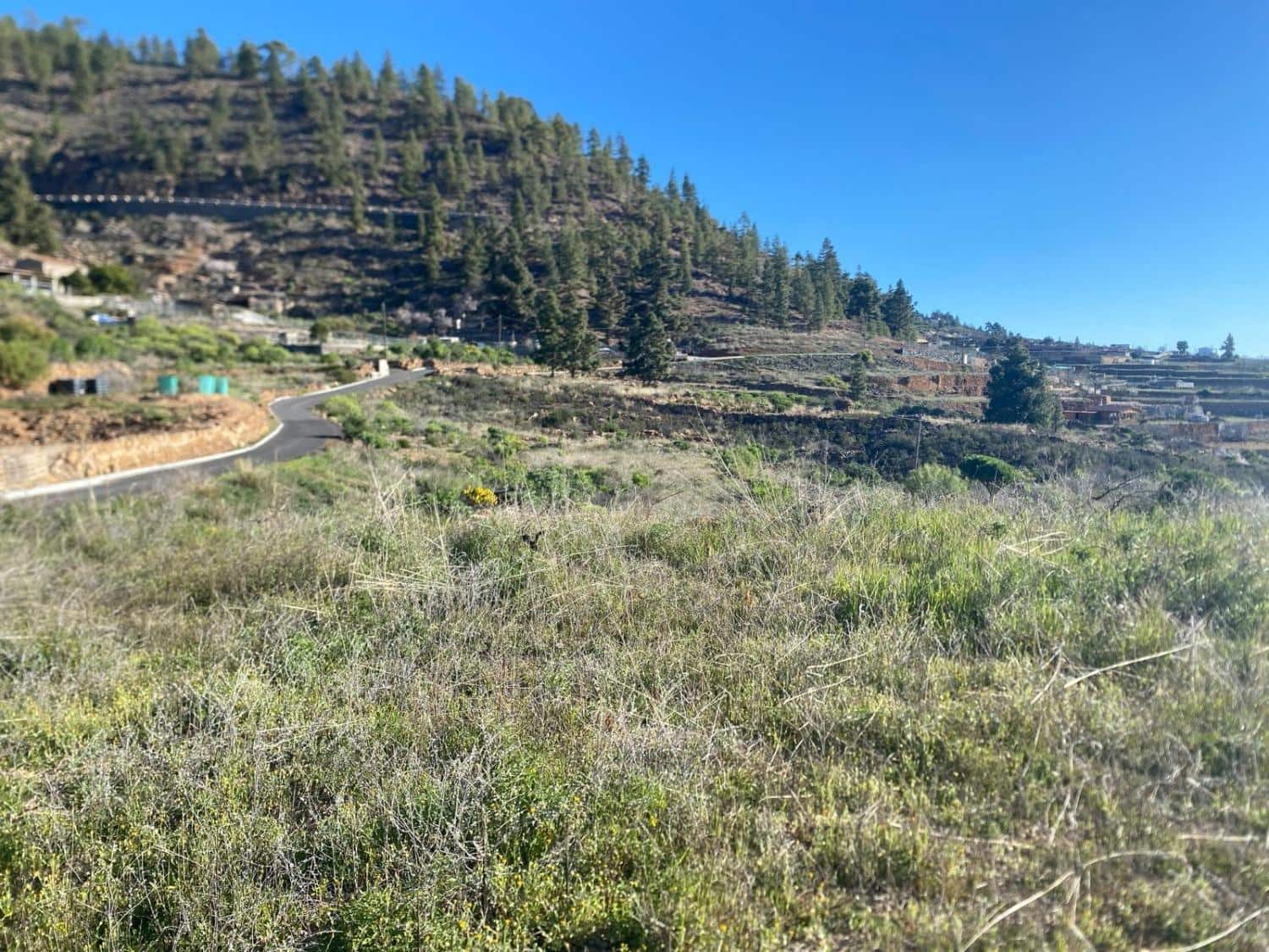 Ubebygd land til salgs i Charco del Pino - € 74 000 (Ref: 9648082)