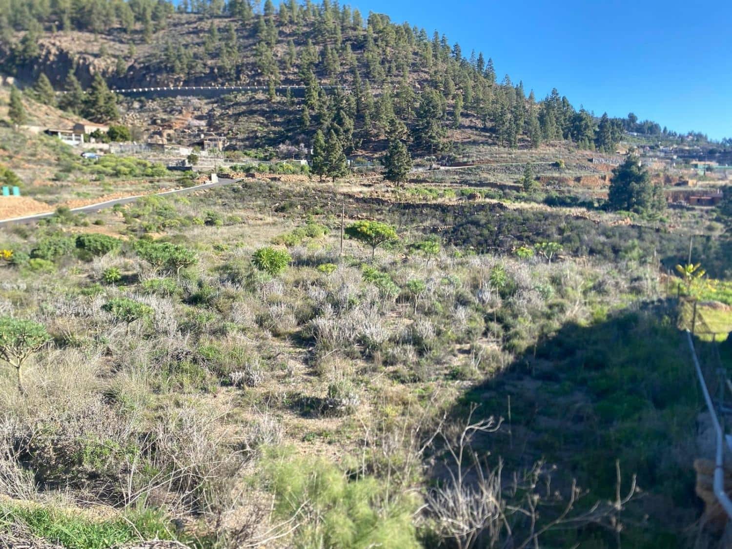 Ubebygd land til salgs i Charco del Pino - € 74 000 (Ref: 9648082)