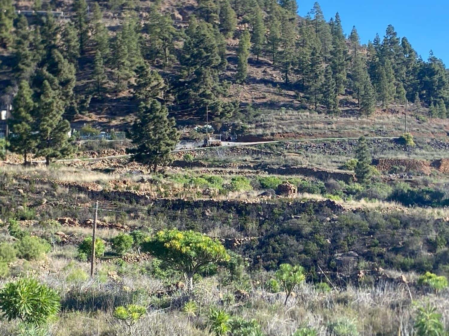 Ubebygd land til salgs i Charco del Pino - € 74 000 (Ref: 9648082)