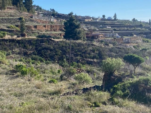 Landgrundstück zu verkaufen in Charco del Pino, Granadilla de Abona - 74.000 € (Ref: 9648082)