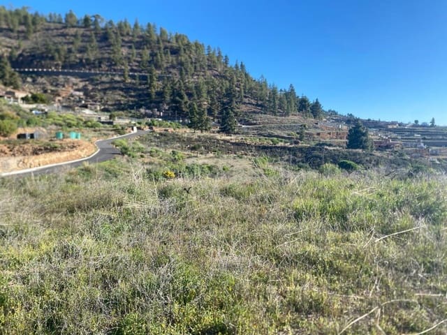 Landgrundstück zu verkaufen in Charco del Pino, Granadilla de Abona - 74.000 € (Ref: 9648082)