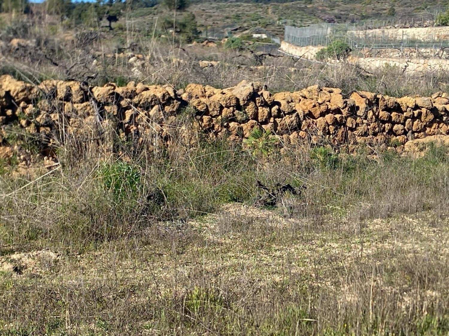 Ubebygd land til salgs i Charco del Pino - € 74 000 (Ref: 9648082)