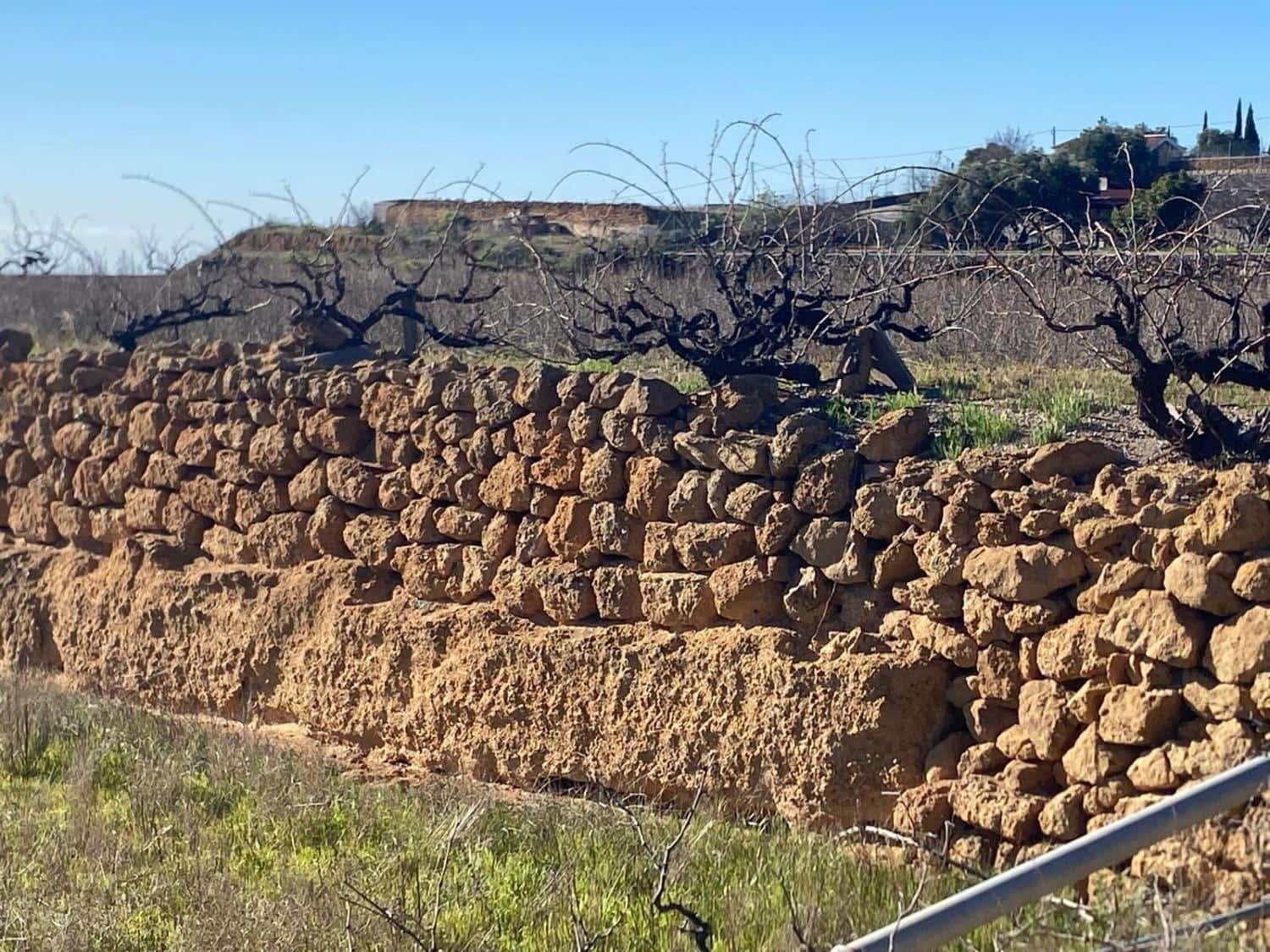 Ubebygd land til salgs i Charco del Pino - € 74 000 (Ref: 9648082)