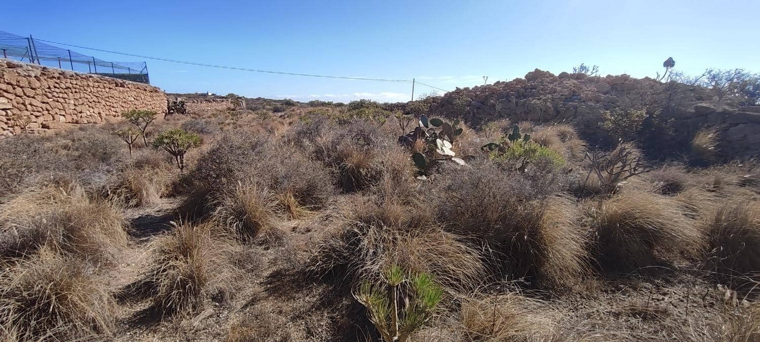Undeveloped Land for sale in Granadilla de Abona - € 95,000 (Ref: 9732077)