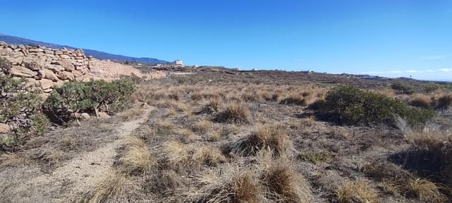 Grond te koop in Granadilla de Abona - € 95.000 (Ref: 9732077)
