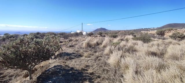 Grond te koop in Granadilla de Abona - € 95.000 (Ref: 9732077)